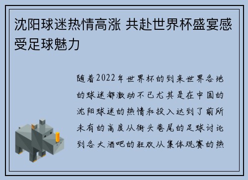 沈阳球迷热情高涨 共赴世界杯盛宴感受足球魅力
