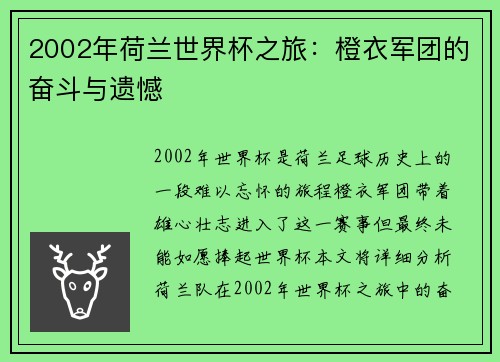 2002年荷兰世界杯之旅：橙衣军团的奋斗与遗憾